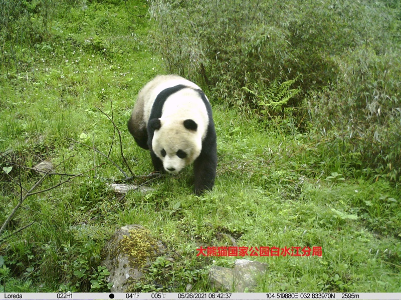 传1.jpg