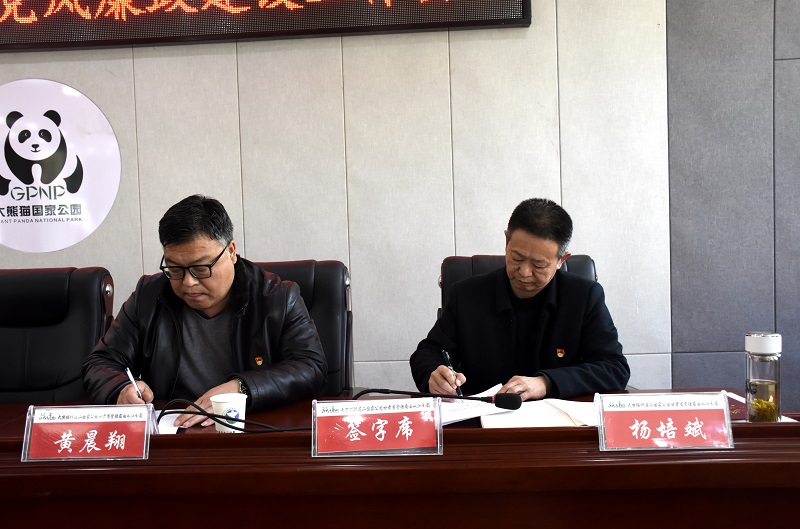 传3.jpg