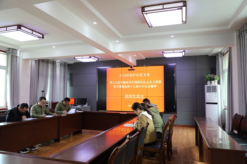 白传.jpg