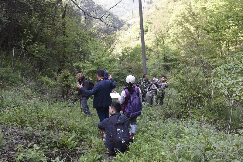 _DSC8563.jpg