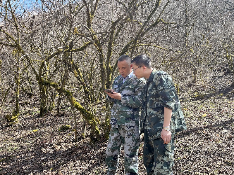 照片.jpg