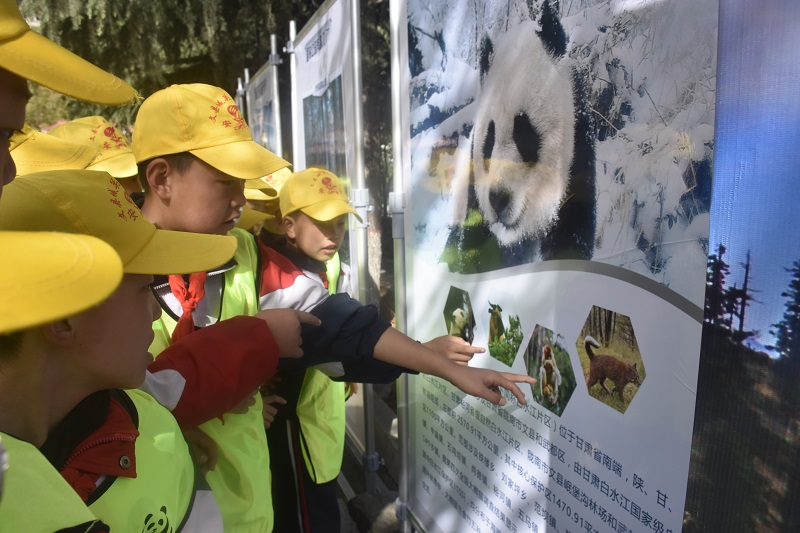 认识大熊猫国家公园.jpg