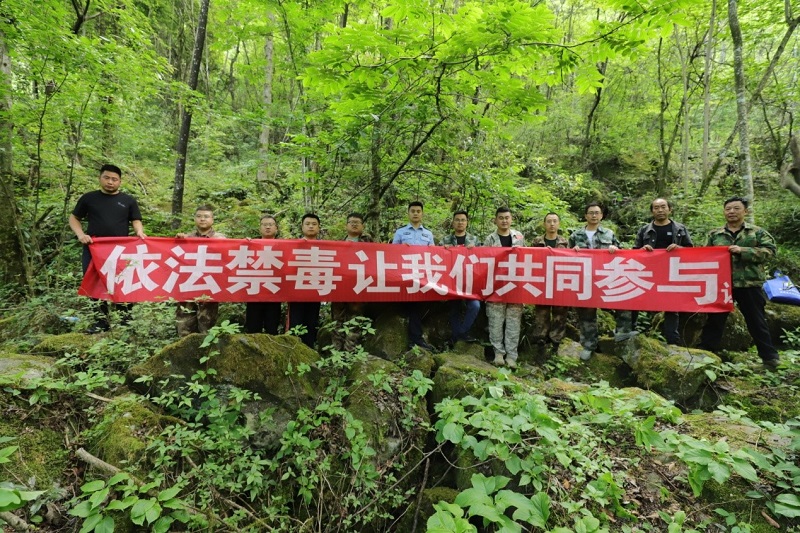 1682727411193.jpg 2.jpg