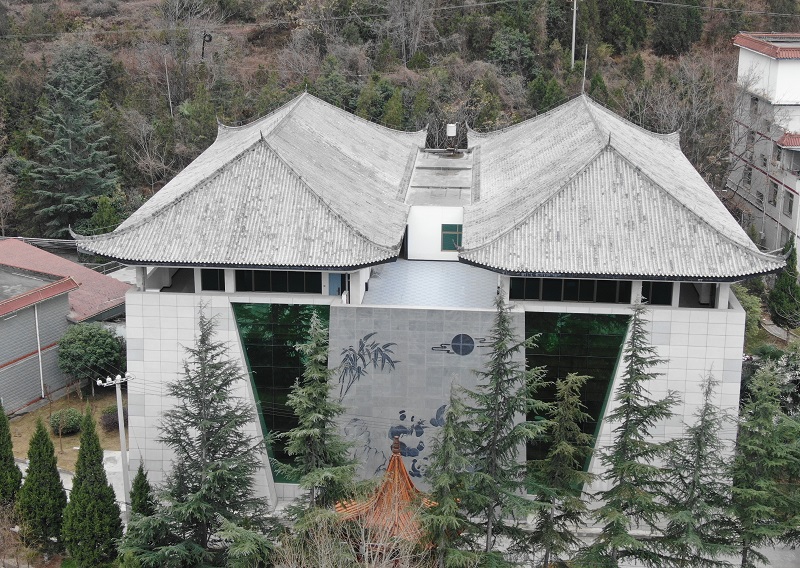 白水江自然博物馆 (2).jpg