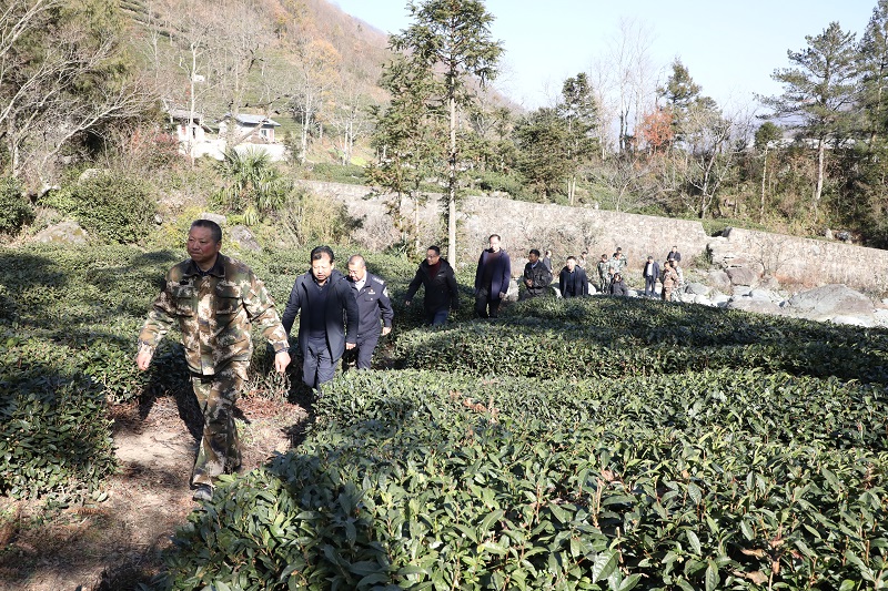 附6.jpg