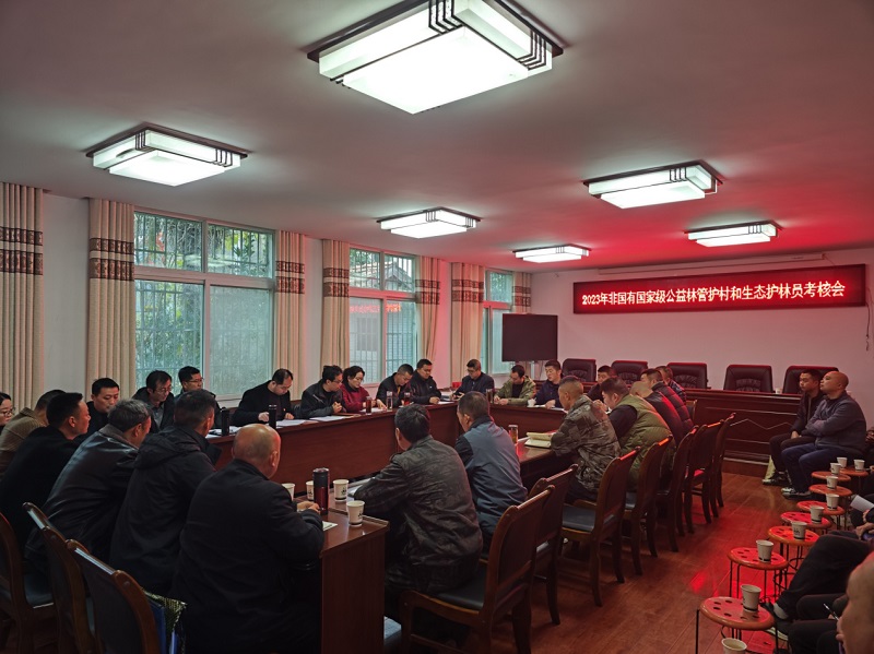 1703056116065.jpg 1.jpg