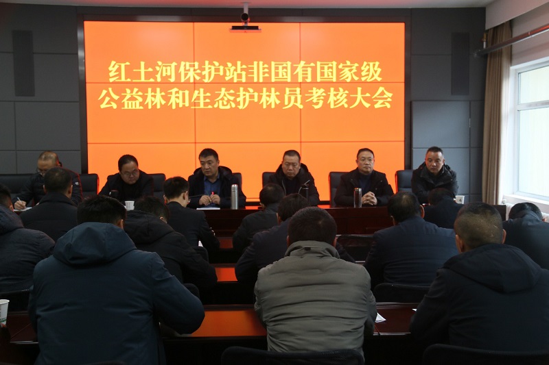 1703555853778.jpg 1.jpg