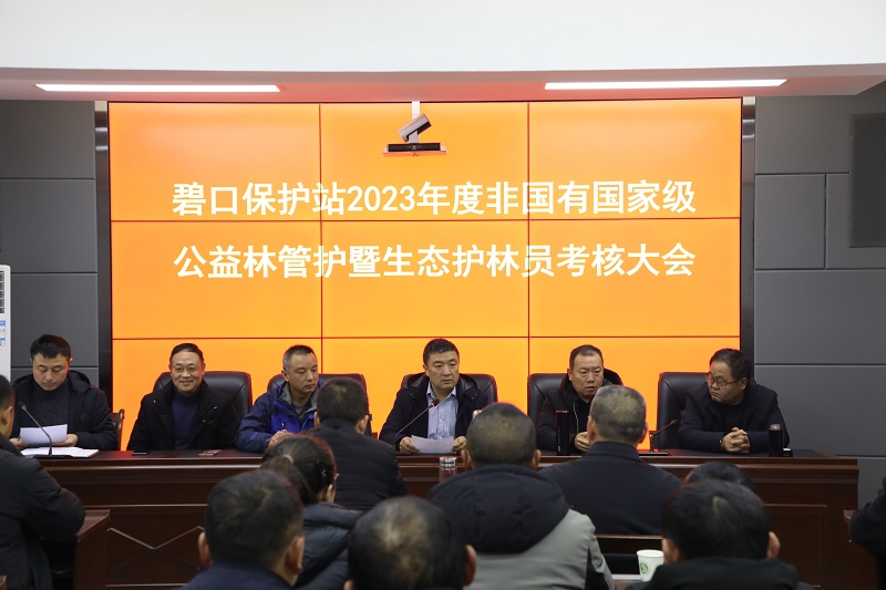 1703727623172.jpg 446A1823.jpg