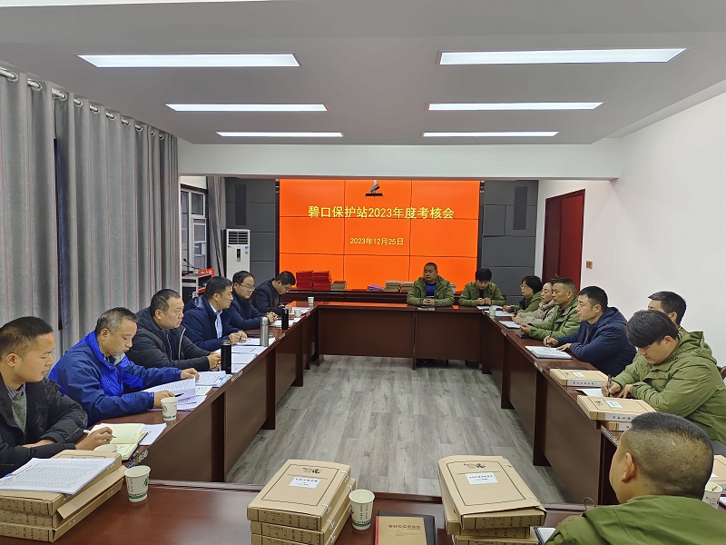 1703825570407.jpg c65ff71ca2a7243122786758adb79ab.jpg