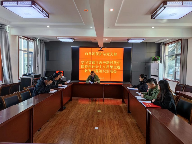 1703825837890.jpg 白马.jpg